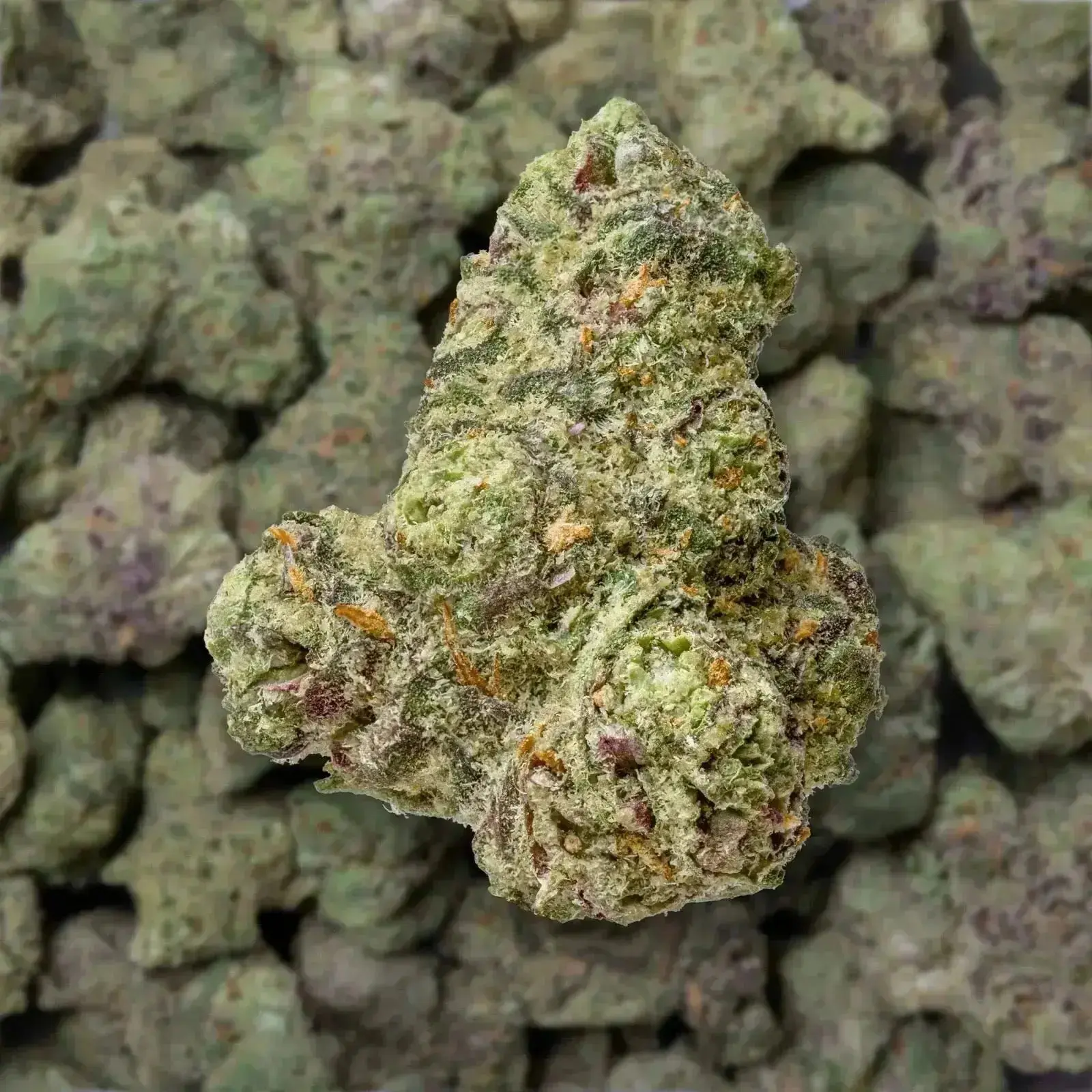 Rainbow Snowman Smalls THCa Flower Ounce - Image 3